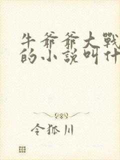 牛爷爷大战小丽的小说叫什么