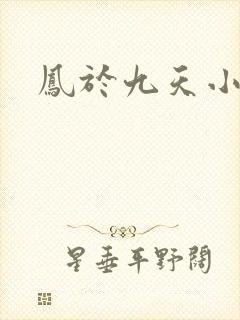 凤于九天小说