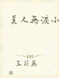美人无泪小说