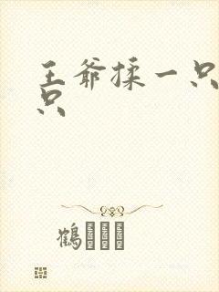 王爷揉一只舔一只