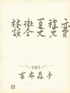 林微夏程亦风小说全文免费