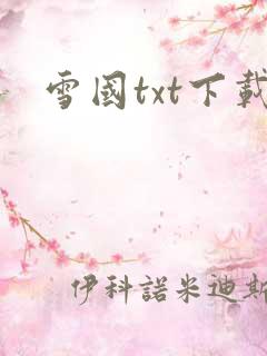 雪国txt下载