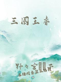 三国王睿