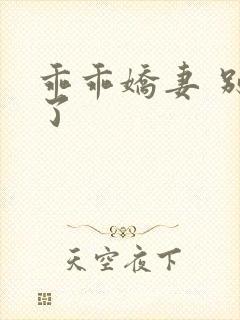 乖乖娇妻 别闹了