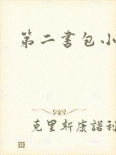 第二书包小说网