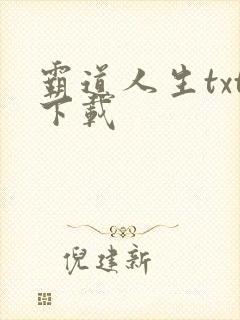 霸道人生txt下载