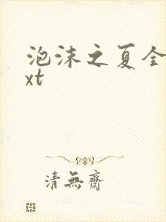 泡沫之夏全集txt