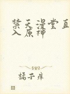 禁天漫堂直接进入原神