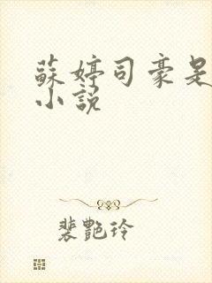 苏婷司豪是什么小说