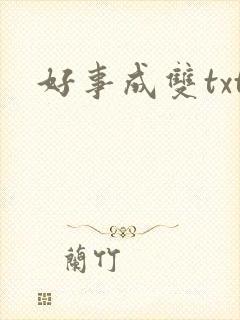 好事成双txt
