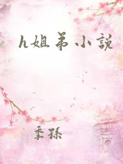 h姐弟小说