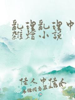 乱理乱理中文大杂烩小说