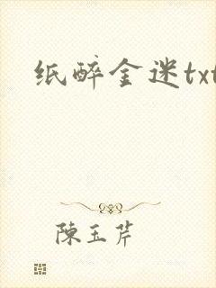 纸醉金迷txt