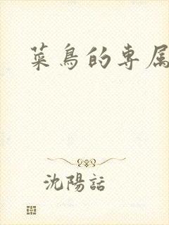 菜鸟的专属大神