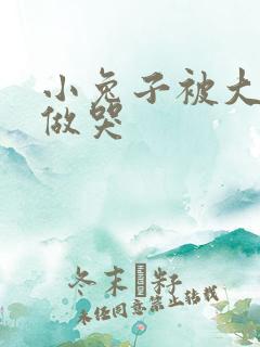 小兔子被大蟒蛇做哭