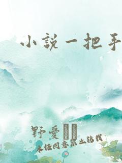 小说一把手