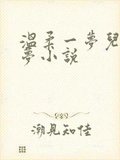 温柔一梦儿媳林梦小说