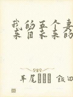 我的五个妻子和来自未来的孩子