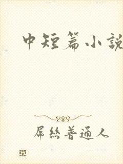 中短篇小说集