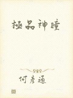 极品神瞳