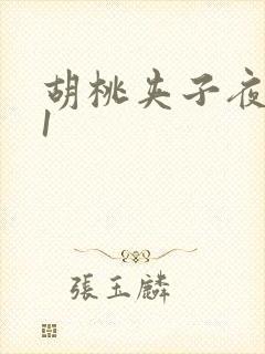 胡桃夹子夜未眠1