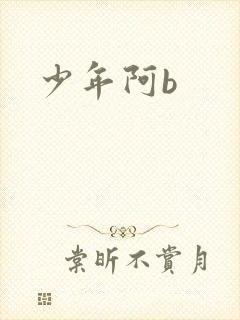 少年阿b
