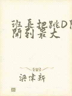 班长把跳D开关开到最大