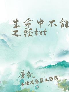 生命中不能承受之轻txt