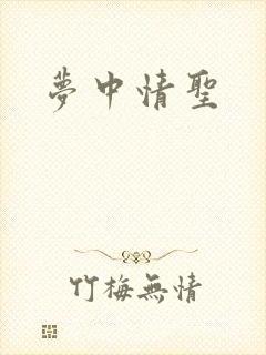 梦中情圣