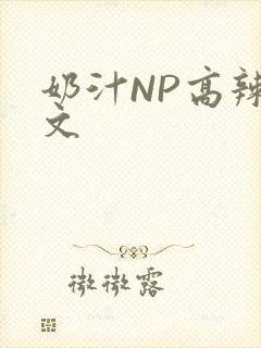 奶汁NP高辣H文