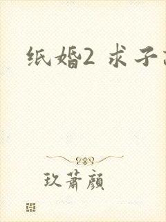 纸婚2 求子记