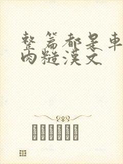 整篇都是车的多肉糙汉文