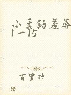 小柔的羞辱日记1一15