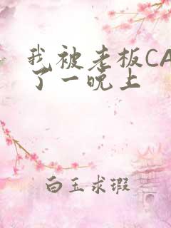 我被老板CAO了一晚上