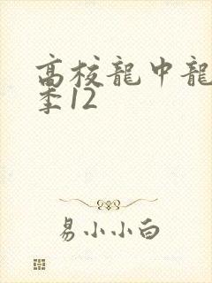 高校龙中龙第二季12