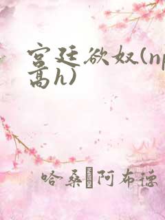 宫廷欲奴(np高h)