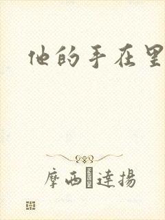 他的手在里面动