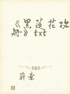 《黑莲花攻略手册》txt