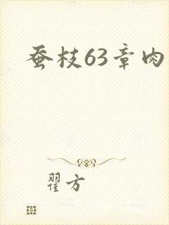 蚕枝63章肉