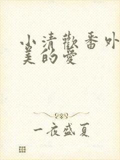 小清欢番外篇完美的爱