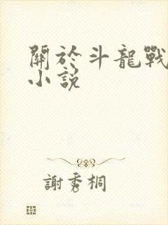 关于斗龙战士的小说