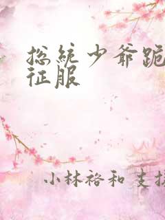 总统少爷跪地唱征服