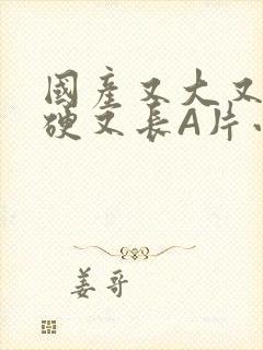 国产又大又粗又硬又长A片小说