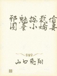 邪魅总裁偷心计圈养小娇妻