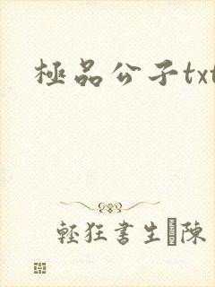 极品公子txt
