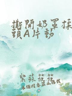 撕开奶罩揉吮奶头A片动