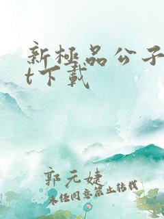 新极品公子txt下载