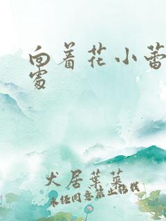 向着花小蕾的深处