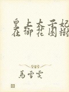 皇上太子妃沈音在御花园树上