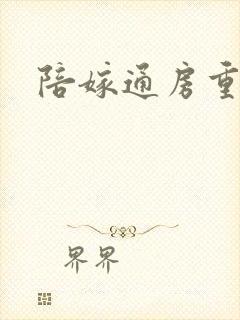 陪嫁通房重生记